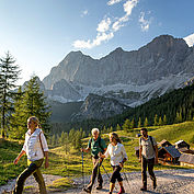 Wandern Alm Ramsau am Dachstein © Tom Lamm