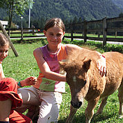 © Landhotel Strasserwirt - Pony Kinderspielplatz 