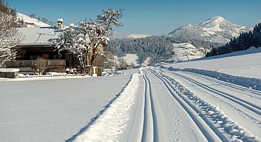 Langlaufen Wildschönau