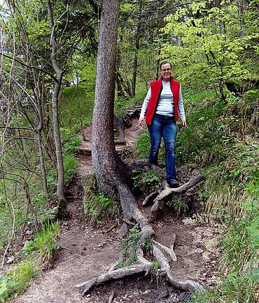 Gemütlicher Abstieg auf sanftem Wanderpfad durch den Wald Gemütlicher Abstieg auf sanftem Wanderpfad durch den Wald