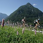 Ostuferradweg - Foto Gerhard Eisenschink 