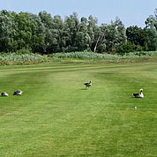 © Landhotel Birkenhof - Golf Donnerskirchen 