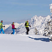 Bergpanorama4 © CoenWeesjes/TVB Filzmoos