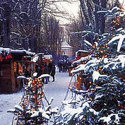 Advent in Steyr, (c) Oberösterreich Tourismus GmbH Heilinger