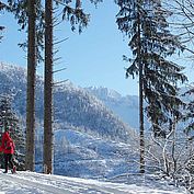© Bad Ischl - Schneeschuhwanderung 