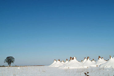 Winter am See, (c) NTG/steve.haider.com