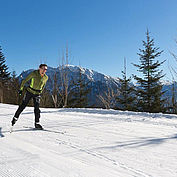 Langlaufen Predigstuhl - © Viroel Munteanu