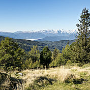 Sommerpanorama im Prebergebiet  © G.A. Service GmbH 