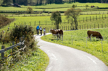 Genussradfahren am Murradweg, ©Ferienregion Salzburger Lungau, Foto G.A. Service GmbH