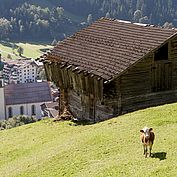 Landhotel Tirolerhof - bergabwerts