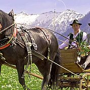 © TVB Abtenau - Sommerliche Pferdekutschenfahrt durch Abtenau 