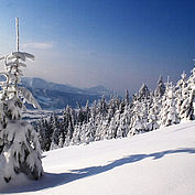 Winterlandschaft vom Kulmspitz am Mondseeberg, (c) TVB MondSeeLand