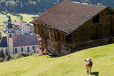 © Landhotel Tirolerhof/ Thomas Trinkl - Landschaft im Sommer