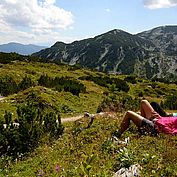 © TVB Traunsee - Wandern am Feuerkogel 