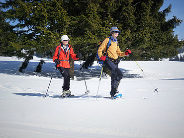 © TVB Almenland, Foto Pollhammer, Schneeschuhwandern