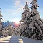 © Daniel Leitner - Advent in Bad Ischl 